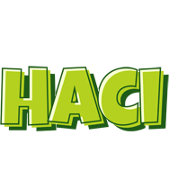 Haci summer logo