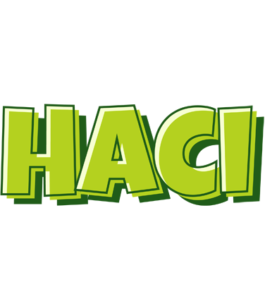 Haci summer logo