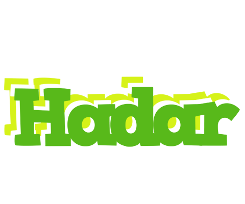Hadar picnic logo