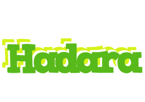 Hadara picnic logo