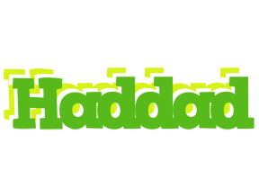 Haddad picnic logo