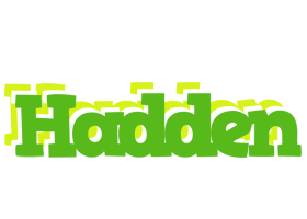 Hadden picnic logo