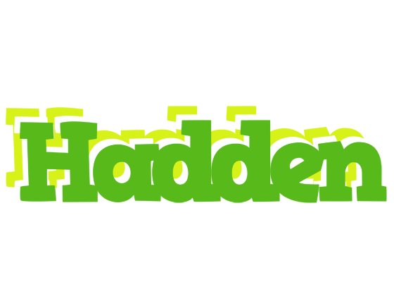 Hadden picnic logo