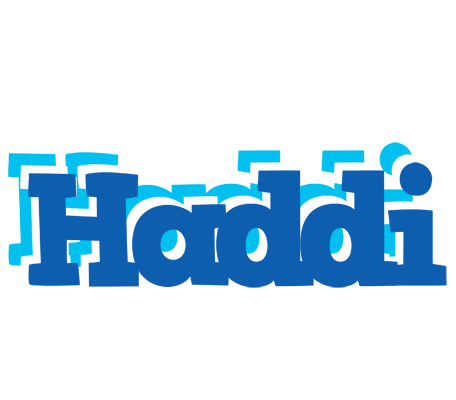 Haddi business logo