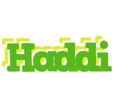 Haddi picnic logo