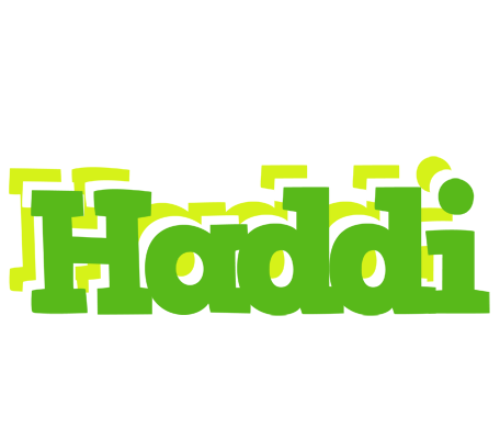 Haddi picnic logo