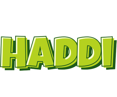 Haddi summer logo