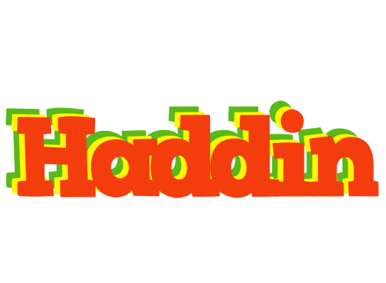 Haddin bbq logo