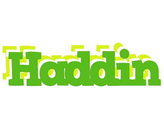 Haddin picnic logo