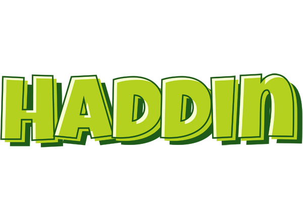 Haddin summer logo