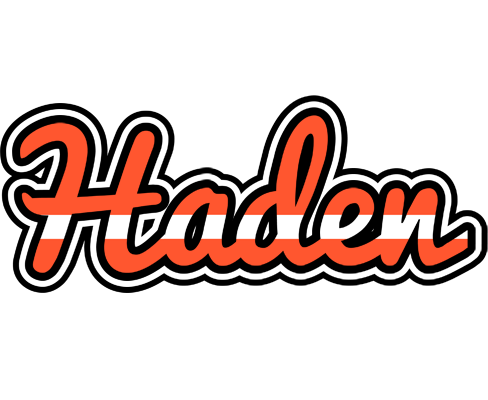 Haden denmark logo