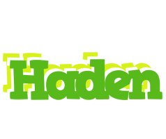 Haden picnic logo