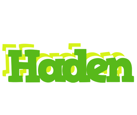 Haden picnic logo