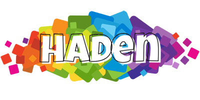 Haden pixels logo