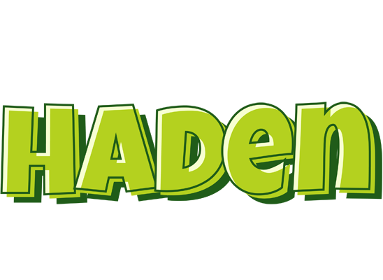 Haden summer logo