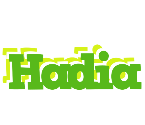 Hadia picnic logo