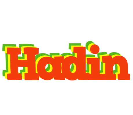 Hadin bbq logo