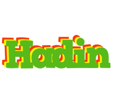 Hadin crocodile logo