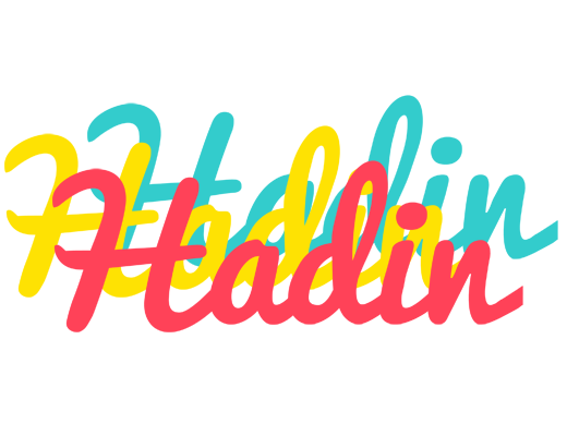 Hadin disco logo
