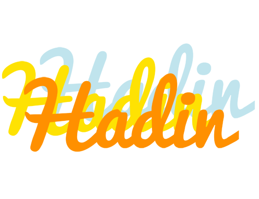 Hadin energy logo