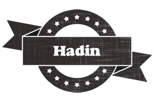 Hadin grunge logo