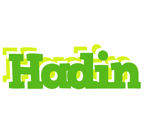 Hadin picnic logo