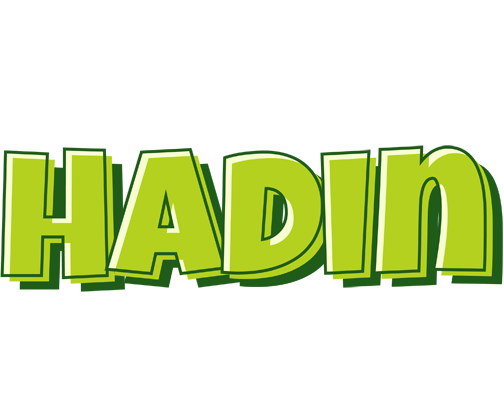 Hadin summer logo