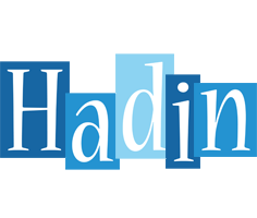 Hadin winter logo