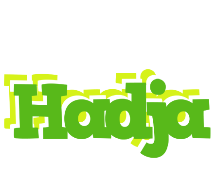 Hadja picnic logo