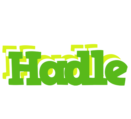 Hadle picnic logo