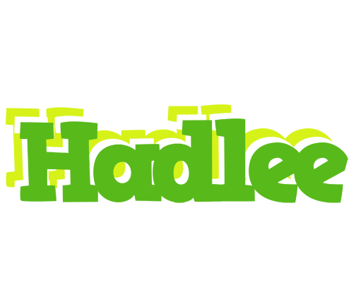 Hadlee picnic logo