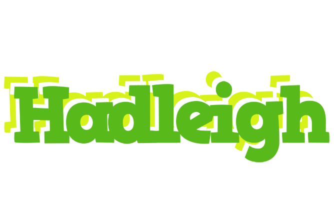 Hadleigh picnic logo