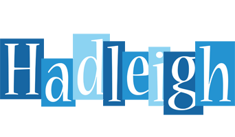 Hadleigh winter logo