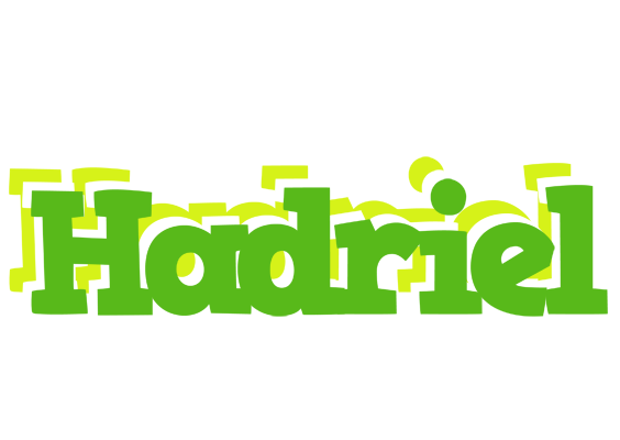 Hadriel picnic logo