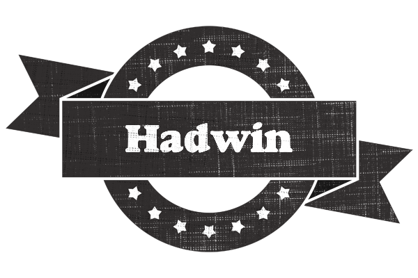 Hadwin grunge logo