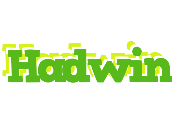 Hadwin picnic logo