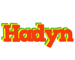 Hadyn bbq logo