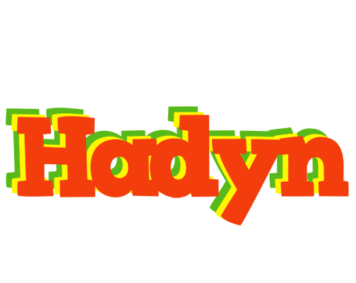 Hadyn bbq logo