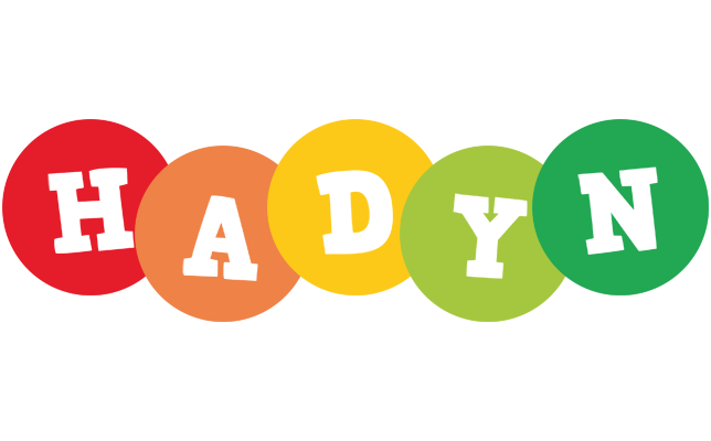 Hadyn boogie logo