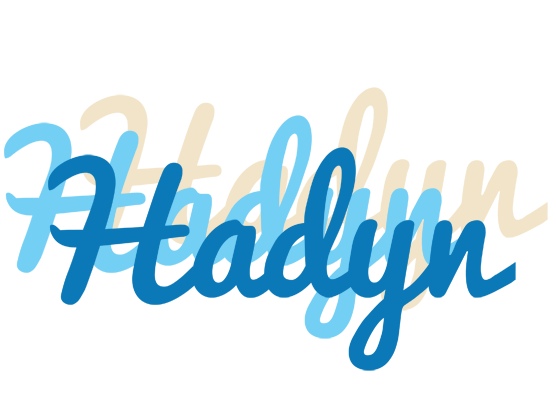 Hadyn breeze logo