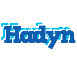 Hadyn business logo