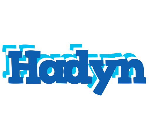 Hadyn business logo