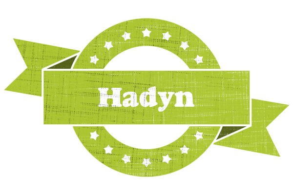 Hadyn change logo