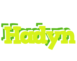 Hadyn citrus logo