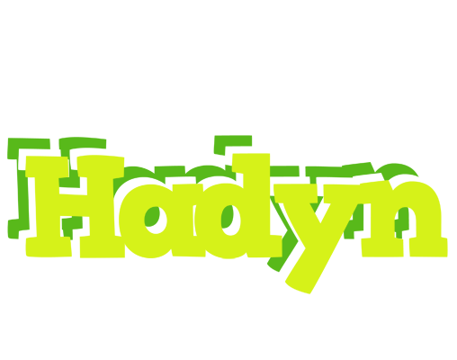 Hadyn citrus logo