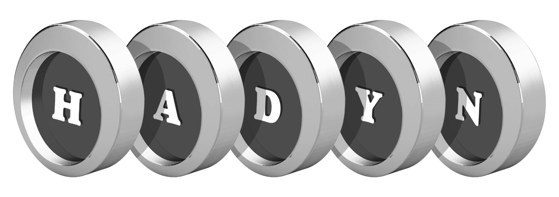 Hadyn coins logo