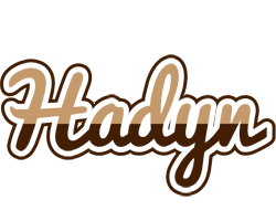 Hadyn exclusive logo