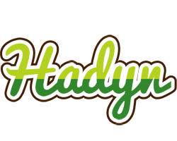 Hadyn golfing logo