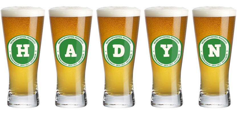 Hadyn lager logo
