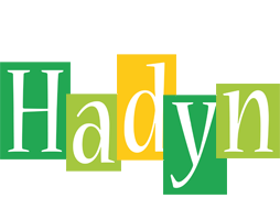 Hadyn lemonade logo